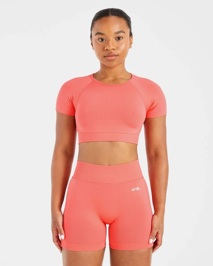 Adapt Seamless Crop Top