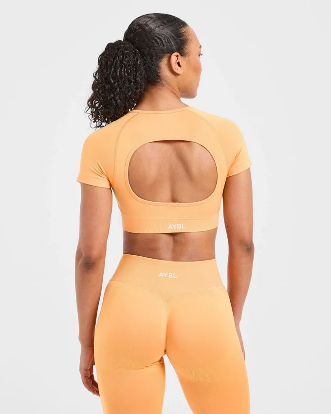 Adapt Seamless Crop Top