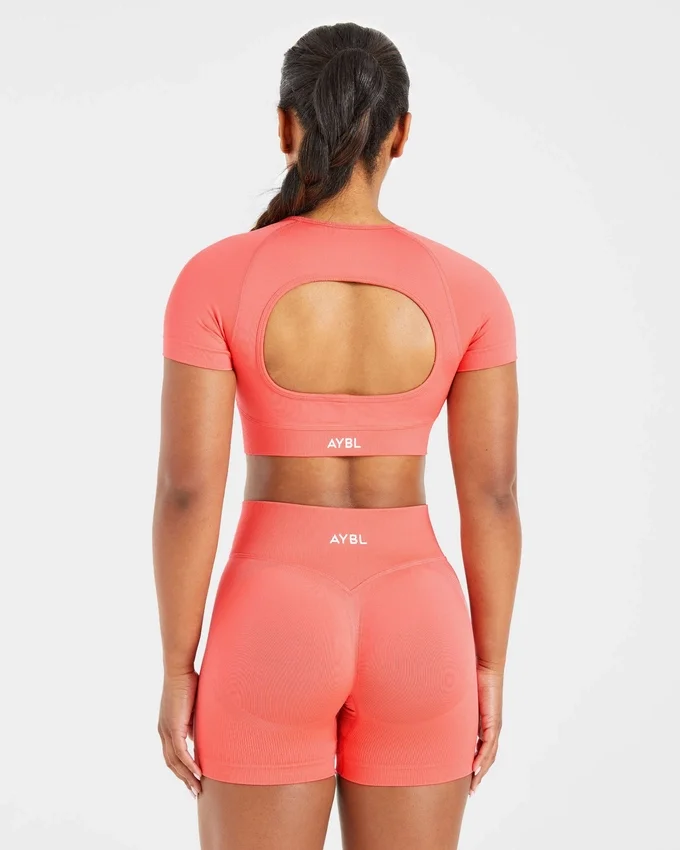 Adapt Seamless Crop Top