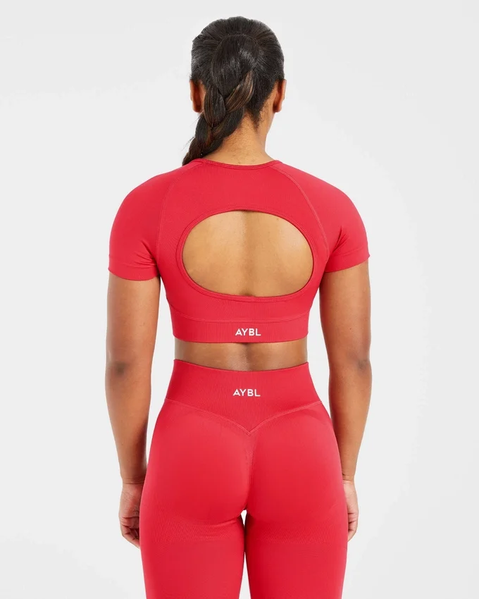 Adapt Seamless Crop Top
