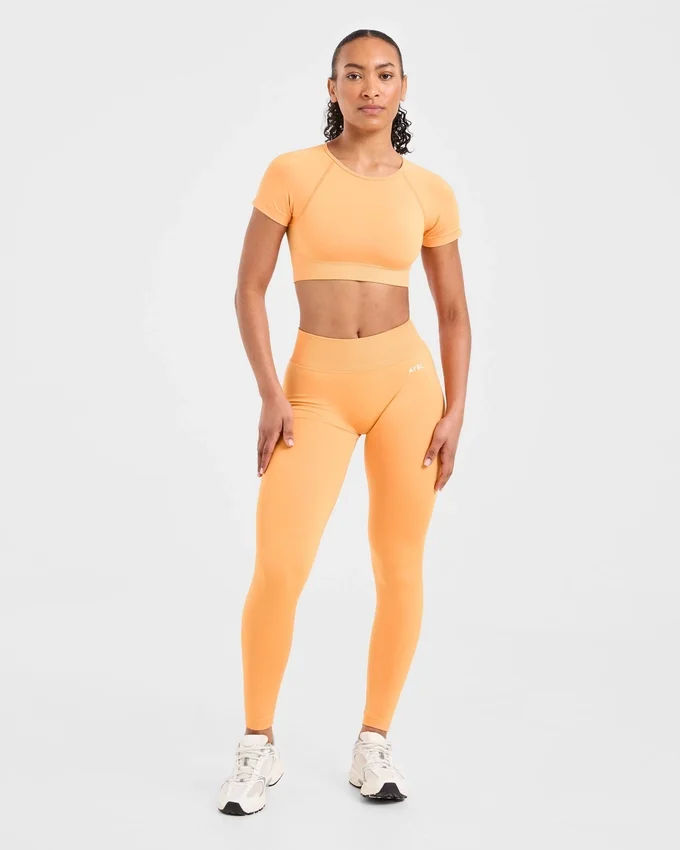Adapt Seamless Crop Top