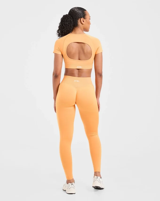 Adapt Seamless Crop Top