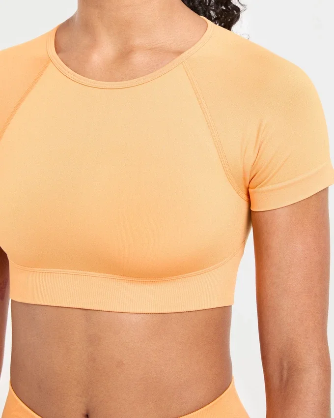 Adapt Seamless Crop Top