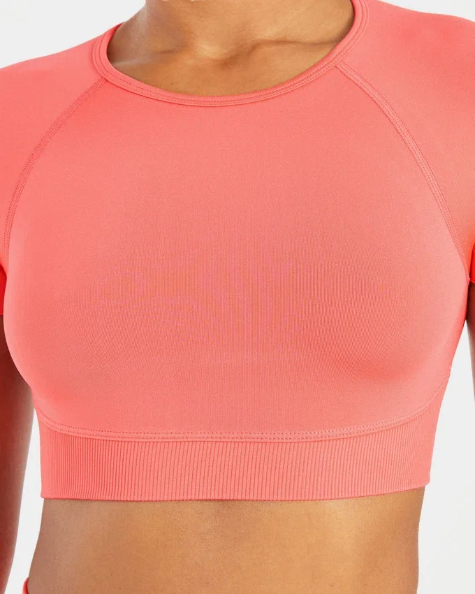 Adapt Seamless Crop Top