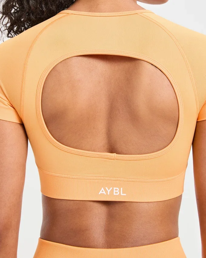 Adapt Seamless Crop Top