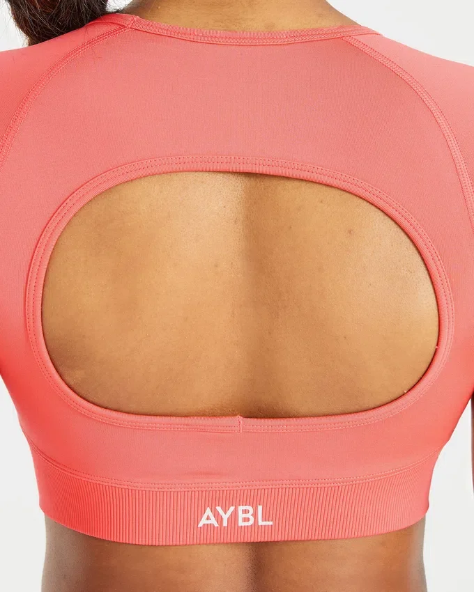Adapt Seamless Crop Top