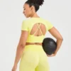 Adapt Seamless Crop Top