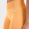 Adapt Seamless Leggings
