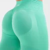 Adapt Seamless Leggings