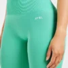 Adapt Seamless Leggings