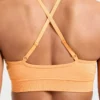 Adapt Seamless Sports Bra