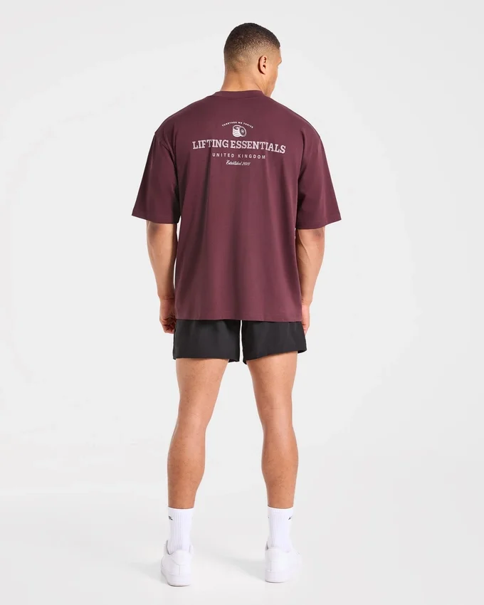 Apex Lifting Essentials Oversized T Shirt