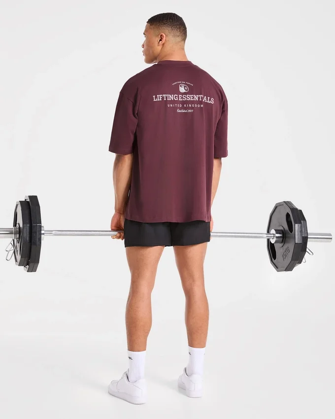 Apex Lifting Essentials Oversized T Shirt