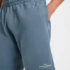 Apex Lifting Essentials Shorts