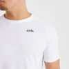 Ascend Seamless T Shirt