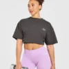 AYBL Lift Lodge Oversized T Shirt
