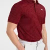 Classic Stripe Polo