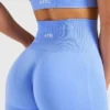 Empower Seamless Leggings