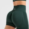 Empower Seamless Shorts