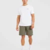 Rebound Shorts