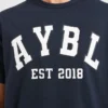 Varsity Oversized T Shirt